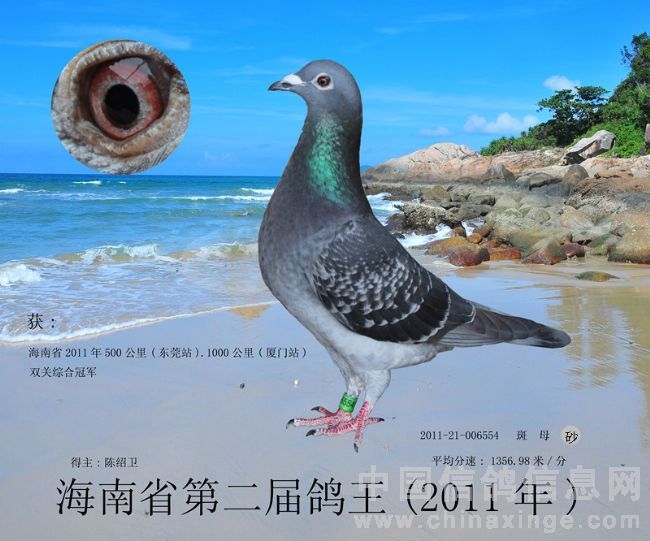 ����˫���ۺϸ����ھ�(ͼ)