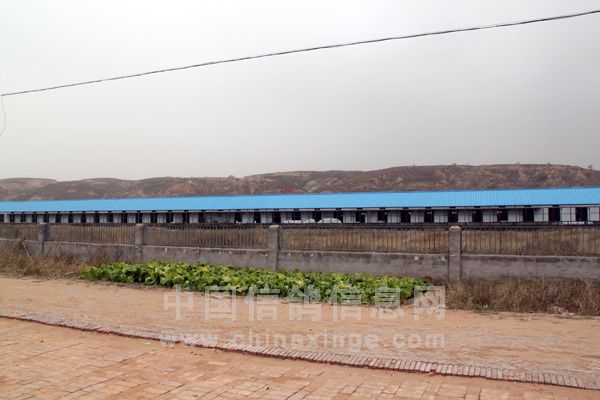 ���������� ���������� ������(ͼ)