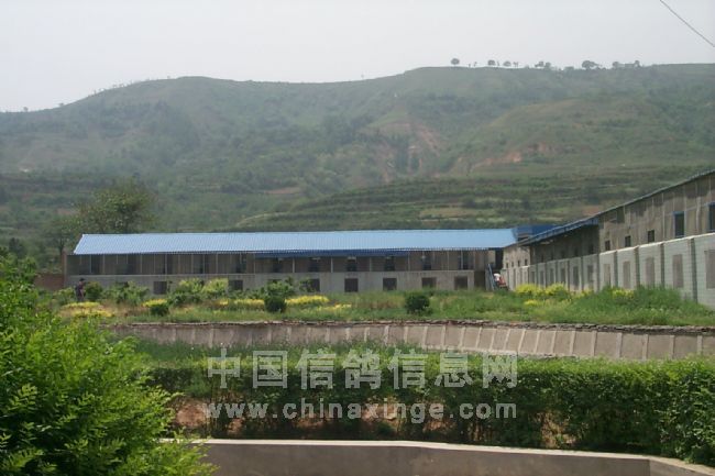 �������Ź����������ת��(ͼ)