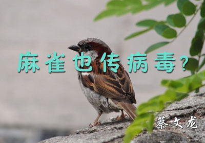 ��ȸҲ��������