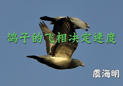 ���ӵķ�������ٶ�(�ݺ���)