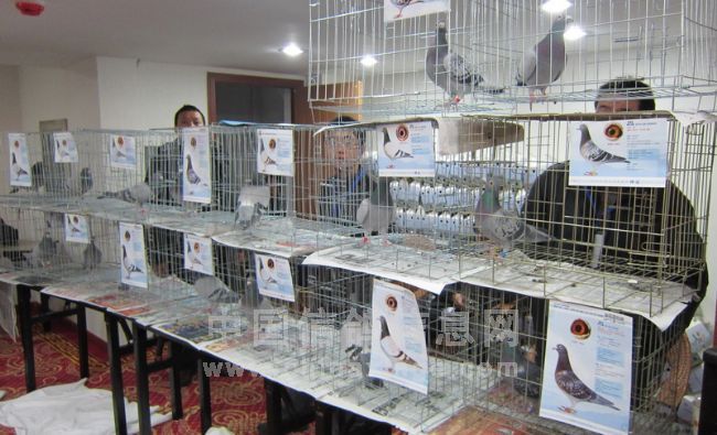 �ຣ���������������Ứ��ͼ