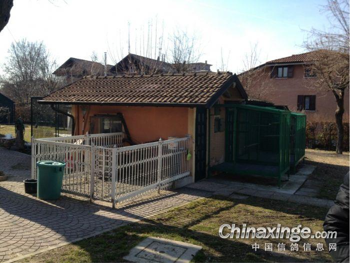ȥ����˹.���ղ����������(ͼ)