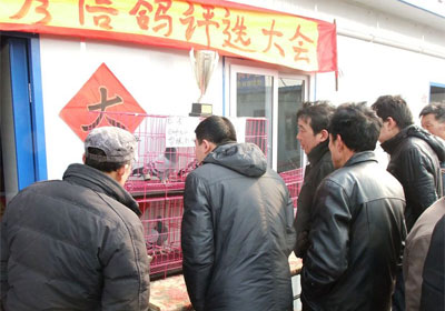 ������������20�ꡰ������롱(ͼ)