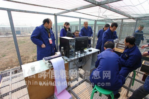 ���﹫���Բ��������˭��(ͼ)