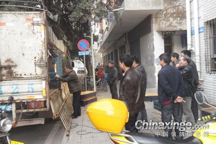 �潭��ͷ������ѵ�Ż���(ͼ)