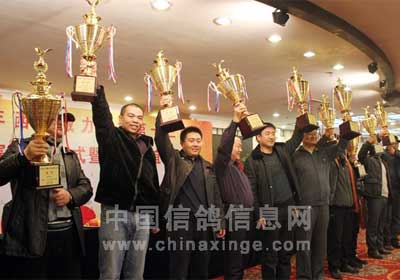 ����������С���Ļ��᲻����(ͼ)