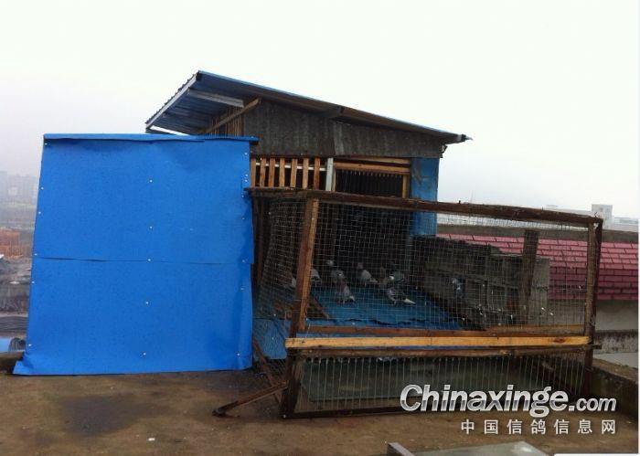 �ҵ��½�����(ͼ)