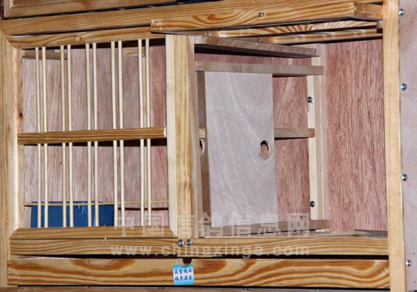 �ָ�������µ��Ǵ�(ͼ)