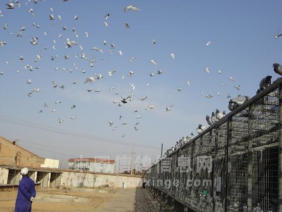 �����׽����﹤���淶����(ͼ)