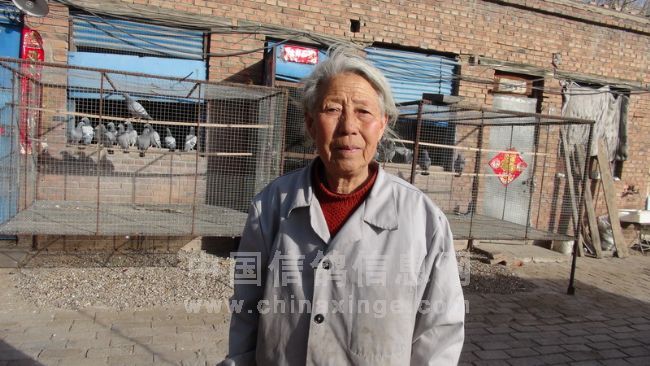 83�������̻�����(ͼ)