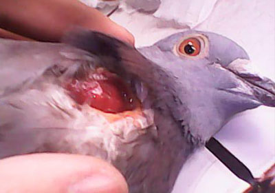 ����������������(ͼ)