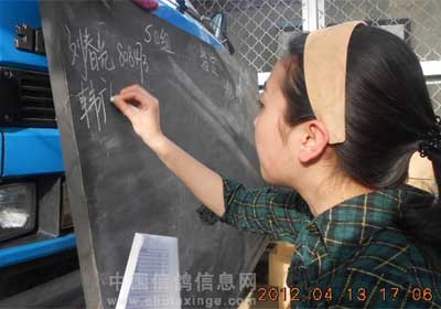 ������ƽ300������ʱ�ɼ���¯(ͼ)