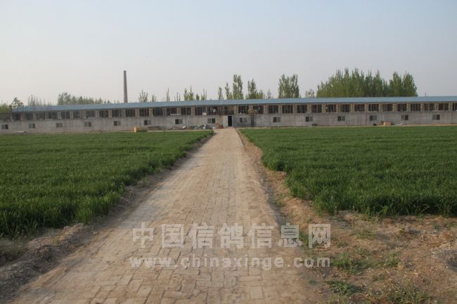 �й�ʯ�����蹫�ｻ��̽��(ͼ)