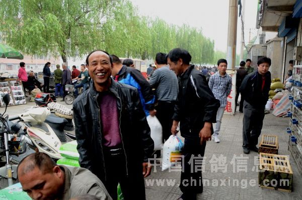 洛阳鸽市风采依旧(图)