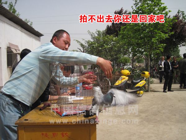 �ؼ����¶�����������ĸ뵱���ŷ�(ͼ)