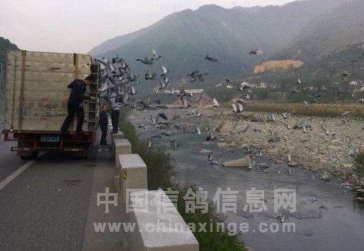 ������38185������ŷɺ컨�̳ɼ�(ͼ)