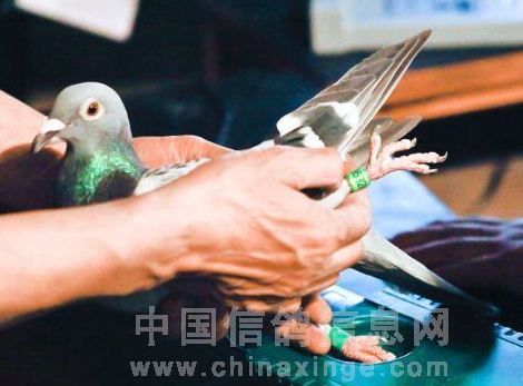 ������Э700������ʱ�ɼ�