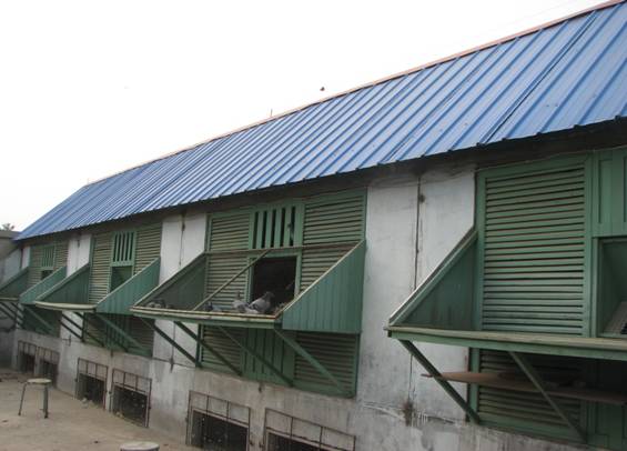 �ι����˸�Է�и�(ͼ)