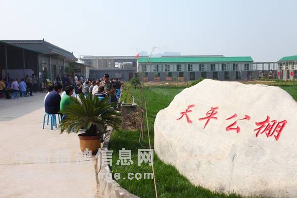 ����ĸ�����Ĳ��÷�(ͼ)