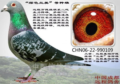 ӵ��2���崨���չ飡(ͼ�ģ�