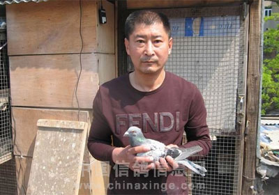 �����д���500����ǰ10����Ƭ