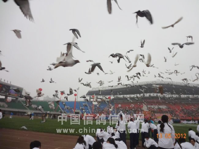 ��̨�����Ÿ�Ϊ�����˶�����������(ͼ)