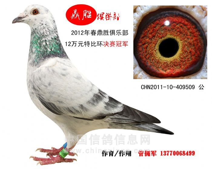 ��ʢ�رȹھ������Ǿ�27����(ͼ)