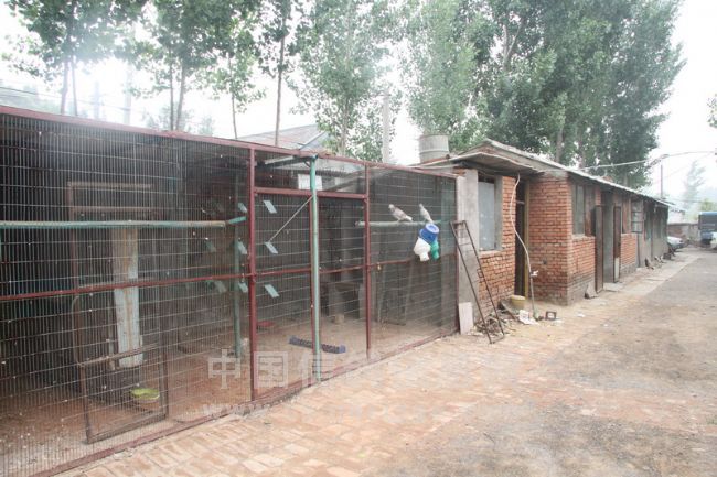 ��ѧ�������ź�֮����(ͼ)