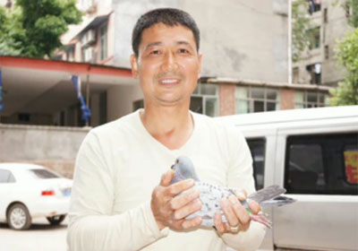 ����700���ﵱ�չ�17�� ���Ǿ���Ƶ����