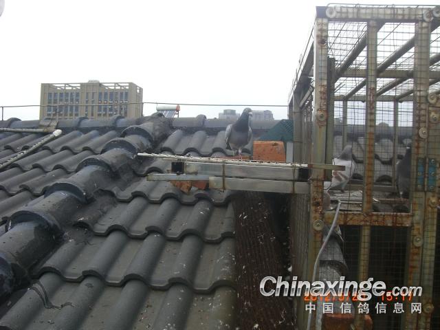 ��ٹ���ȸ��(ͼ)