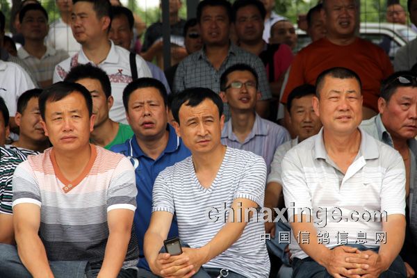 ������ƽ��������ؾ�������(ͼ)