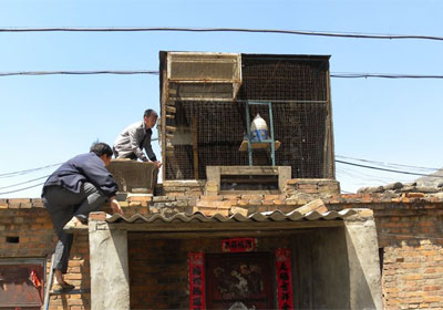 ���ʸ�Э֣�ݹ�����ǰ����(ͼ)