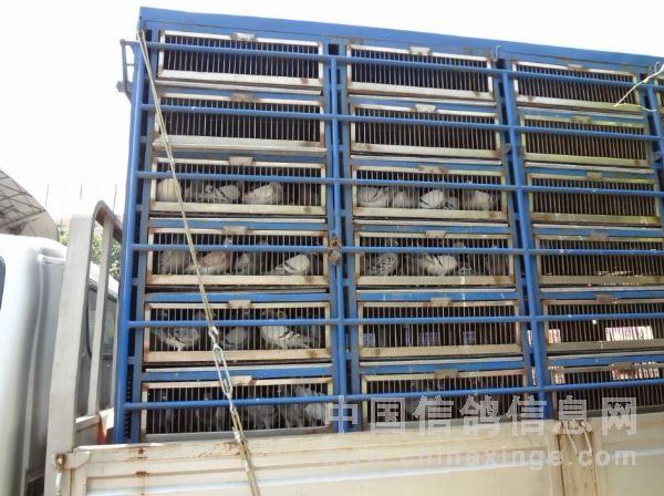 ֣��880���������17�� ��������4Сʱ(ͼ)