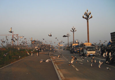 �㽭ʡ�������׹أ�������ʱ�ɼ���¯(ͼ)