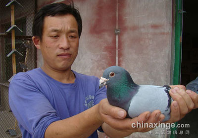 �߽��䱦��������ʵս��ϵ���(ͼ)