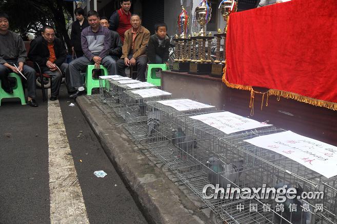 �潭�����ر���������(ͼ)