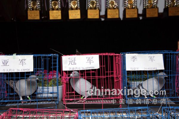 �������ش���佱�������ᱨ��(ͼ)