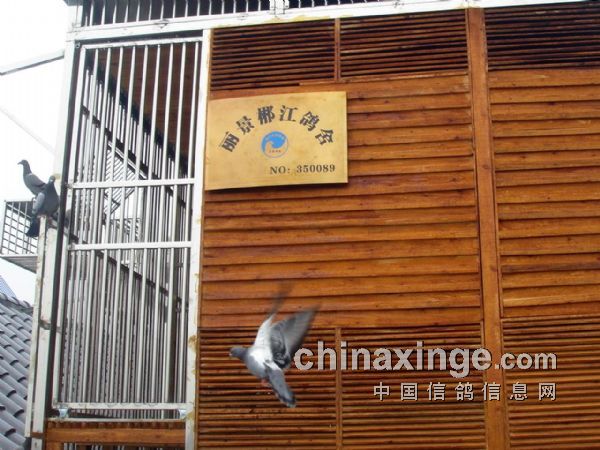 ��ʦ����2��Ԫ���￢��(ͼ)