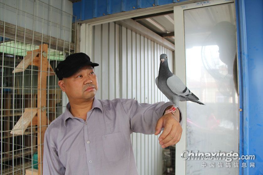 ����ϲ��� ��ĩ���ۻ�(ͼ)