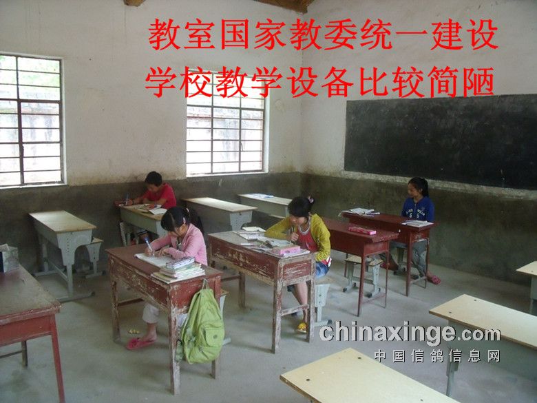 ���6��2�վٰ����� ����ƶ��Сѧ(ͼ)