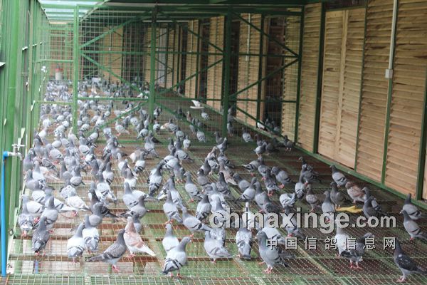 ��ĩ�ĳ���̽������(ͼ)