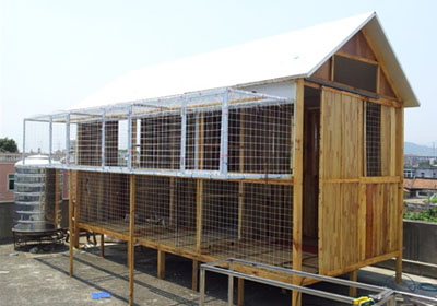 ���Ｔ������(ͼ)