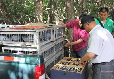 �½��������¡�����ս�߰ٹ���(ͼ)