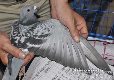 ���¡����豭������ȫ�̱���(ͼ)