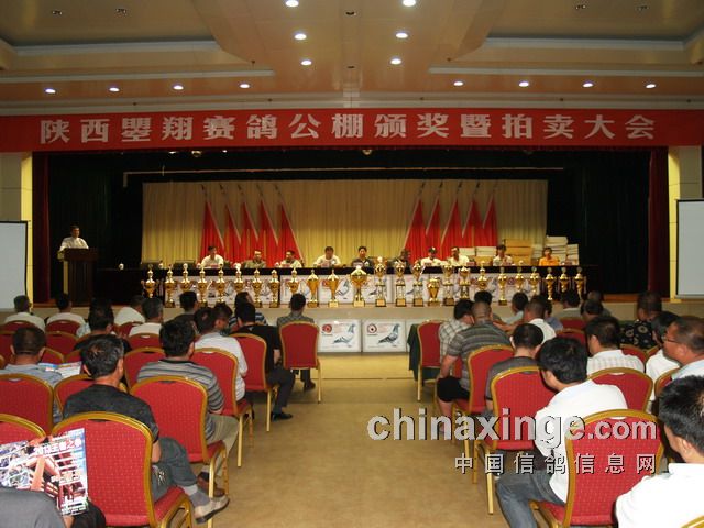 �����������빫��佱�������������