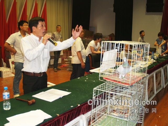 �������蹫��񽱸������������Ļ(ͼ)