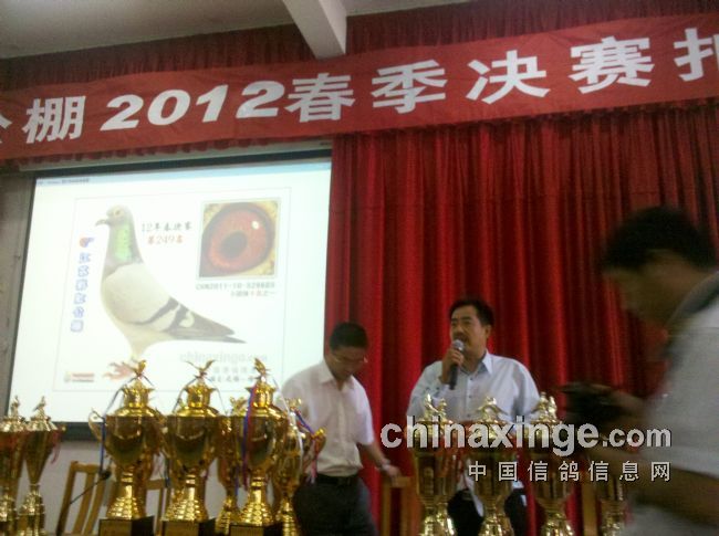 ����͸������Ӯ�ø�������