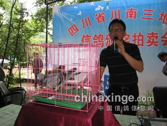 �׽촨��������500��������չ�Ļ�(ͼ)