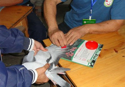 �������ι�����������Ƴ�һ��(ͼ)